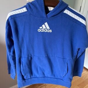 Adidas blue hoodie
